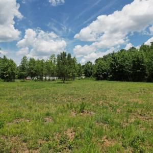 Photo #32 of Off of Old Chinquapin Rd, Beulaville, NC 3.7 acres