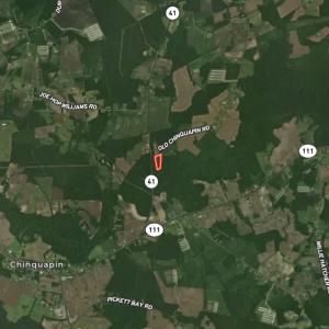 Photo #40 of Off of Old Chinquapin Rd, Beulaville, NC 3.7 acres