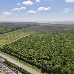 Photo #1 of Off US Hwy 264, Engelhard, NC 500.0 acres