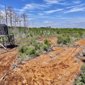 Photo #25 of Off US Hwy 264, Engelhard, NC 500.0 acres