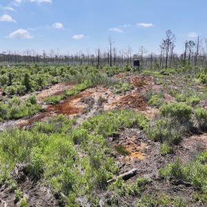 Photo #26 of Off US Hwy 264, Engelhard, NC 500.0 acres