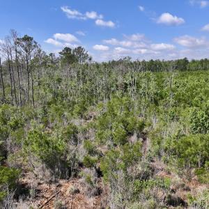 Photo #27 of Off US Hwy 264, Engelhard, NC 500.0 acres