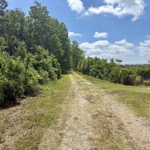 Photo #35 of Off US Hwy 264, Engelhard, NC 500.0 acres