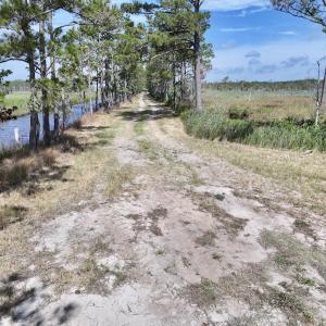 Photo #47 of Off US Hwy 264, Engelhard, NC 500.0 acres