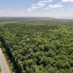 Photo #54 of Off US Hwy 264, Engelhard, NC 500.0 acres