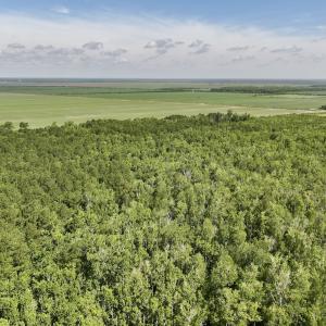 Photo #56 of Off US Hwy 264, Engelhard, NC 500.0 acres
