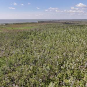 Photo #60 of Off US Hwy 264, Engelhard, NC 500.0 acres