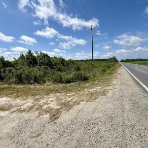 Photo #70 of Off US Hwy 264, Engelhard, NC 500.0 acres