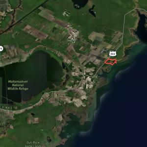 Photo #71 of Off US Hwy 264, Engelhard, NC 500.0 acres