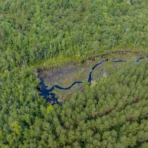 Photo #10 of Off of US Hwy 1, Patrick, SC 17.1 acres