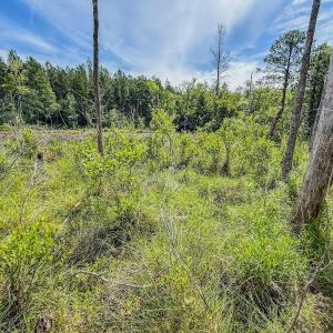 Photo #11 of Off of US Hwy 1, Patrick, SC 17.1 acres