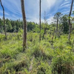 Photo #12 of Off of US Hwy 1, Patrick, SC 17.1 acres