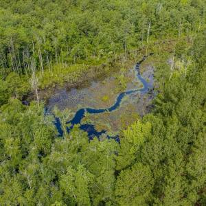 Photo #13 of Off of US Hwy 1, Patrick, SC 17.1 acres