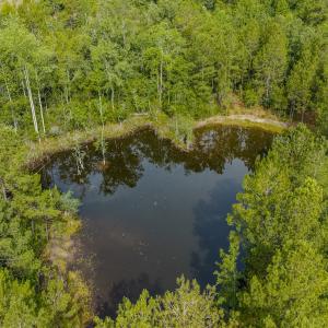 Photo #14 of Off of US Hwy 1, Patrick, SC 17.1 acres