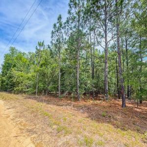 Photo #17 of Off of US Hwy 1, Patrick, SC 17.1 acres