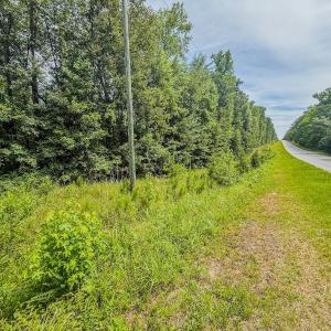 Photo #18 of Off of US Hwy 1, Patrick, SC 17.1 acres