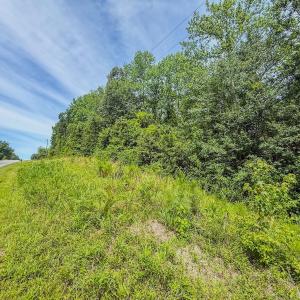 Photo #19 of Off of US Hwy 1, Patrick, SC 17.1 acres
