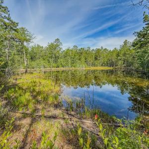 Photo #1 of Off of US Hwy 1, Patrick, SC 17.1 acres