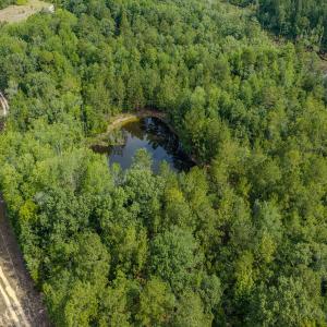 Photo #2 of Off of US Hwy 1, Patrick, SC 17.1 acres