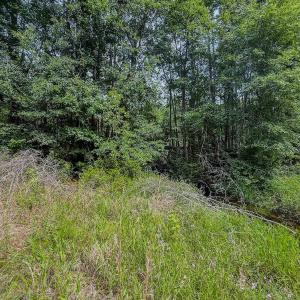 Photo #20 of Off of US Hwy 1, Patrick, SC 17.1 acres