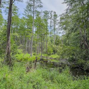 Photo #21 of Off of US Hwy 1, Patrick, SC 17.1 acres