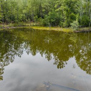 Photo #3 of Off of US Hwy 1, Patrick, SC 17.1 acres