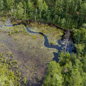 Photo #30 of Off of US Hwy 1, Patrick, SC 17.1 acres