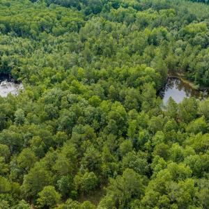 Photo #8 of Off of US Hwy 1, Patrick, SC 17.1 acres
