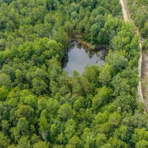 Photo #9 of Off of US Hwy 1, Patrick, SC 17.1 acres