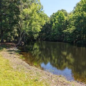 Photo #48 of 211 Arbor Drive, Columbia, NC 6.2 acres