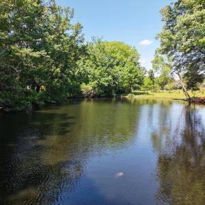 Photo #49 of 211 Arbor Drive, Columbia, NC 6.2 acres
