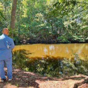Photo #51 of 211 Arbor Drive, Columbia, NC 6.2 acres