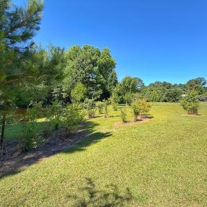 Photo #61 of 211 Arbor Drive, Columbia, NC 6.2 acres