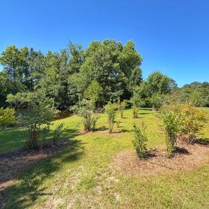 Photo #63 of 211 Arbor Drive, Columbia, NC 6.2 acres