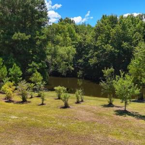 Photo #78 of 211 Arbor Drive, Columbia, NC 6.2 acres