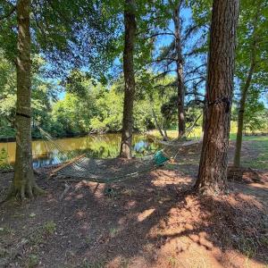 Photo #79 of 211 Arbor Drive, Columbia, NC 6.2 acres