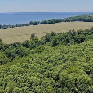 Photo #12 of 500 Indian Trail Road, Edenton, NC 964.4 acres