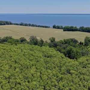 Photo #13 of 500 Indian Trail Road, Edenton, NC 964.4 acres