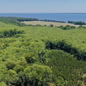 Photo #14 of 500 Indian Trail Road, Edenton, NC 964.4 acres