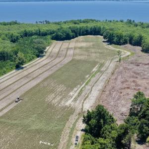 Photo #19 of 500 Indian Trail Road, Edenton, NC 964.4 acres