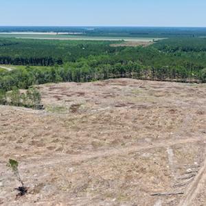 Photo #21 of 500 Indian Trail Road, Edenton, NC 964.4 acres