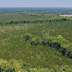 Photo #24 of 500 Indian Trail Road, Edenton, NC 964.4 acres