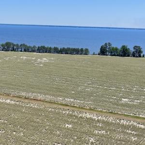 Photo #26 of 500 Indian Trail Road, Edenton, NC 964.4 acres
