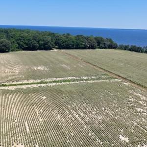 Photo #27 of 500 Indian Trail Road, Edenton, NC 964.4 acres