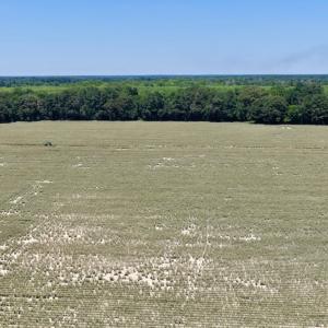 Photo #29 of 500 Indian Trail Road, Edenton, NC 964.4 acres