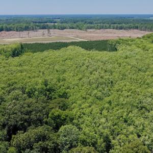 Photo #31 of 500 Indian Trail Road, Edenton, NC 964.4 acres
