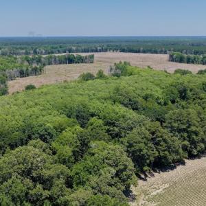 Photo #32 of 500 Indian Trail Road, Edenton, NC 964.4 acres