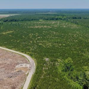 Photo #35 of 500 Indian Trail Road, Edenton, NC 964.4 acres