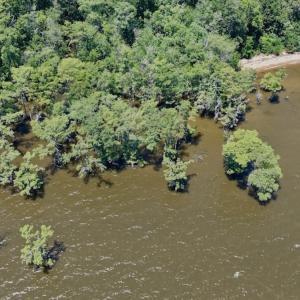 Photo #39 of 500 Indian Trail Road, Edenton, NC 964.4 acres