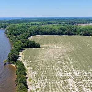 Photo #5 of 500 Indian Trail Road, Edenton, NC 964.4 acres